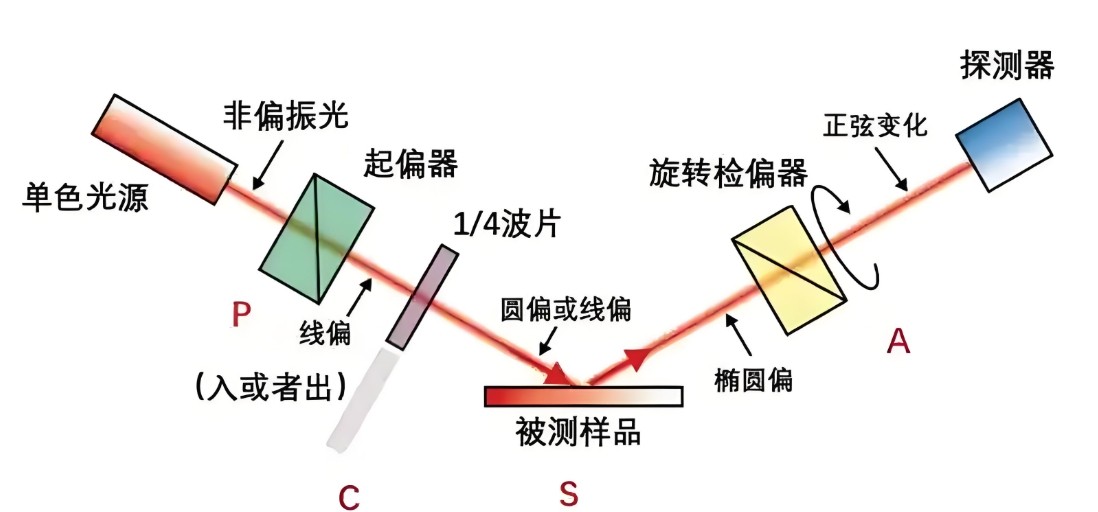 偏振光是如何完成檢測的？