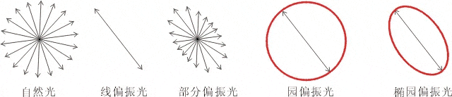 什么是偏振光？偏振光是如何完成檢測的？