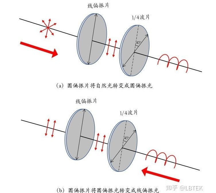 線(xiàn)偏振光和圓偏振光