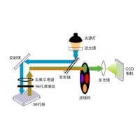 什么是熒光定量PCR、數字PCR？