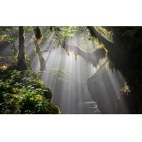 光的干涉、衍射、折射、反射、散射